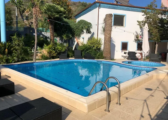 Dessena كالا ليبيروتو